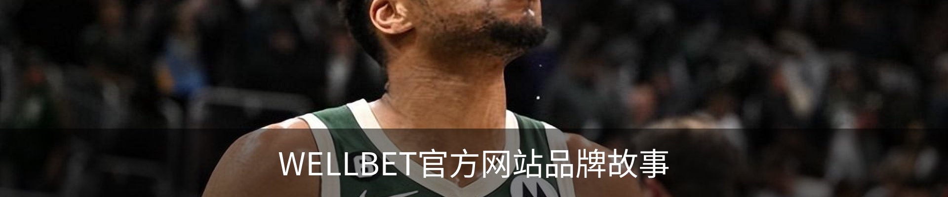 WELLBET官方网站品牌故事